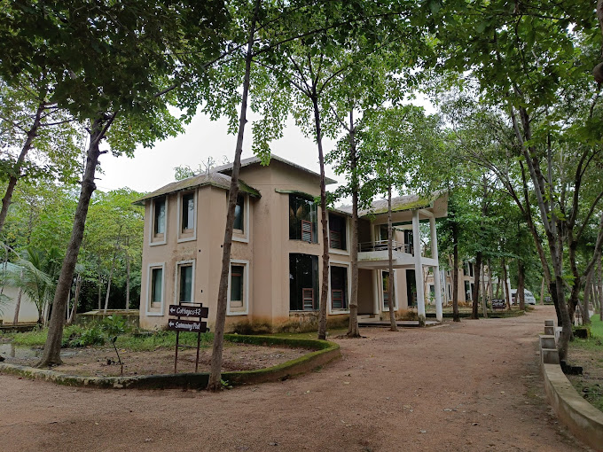 Moira Jungle Lodge Barnwapara Chhattisgarh