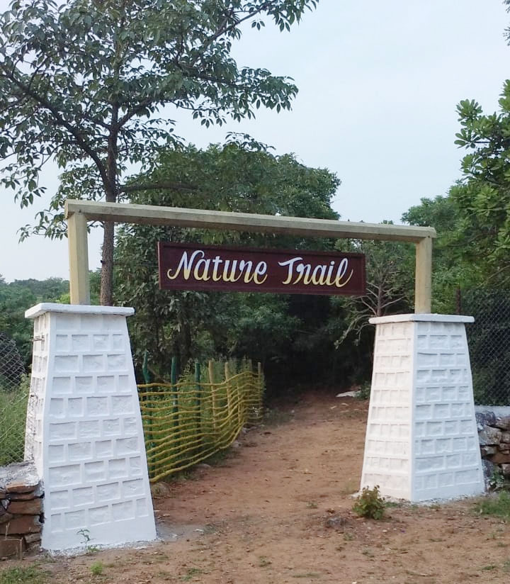 Machaan Log Huts - Forest Chhattisgarh